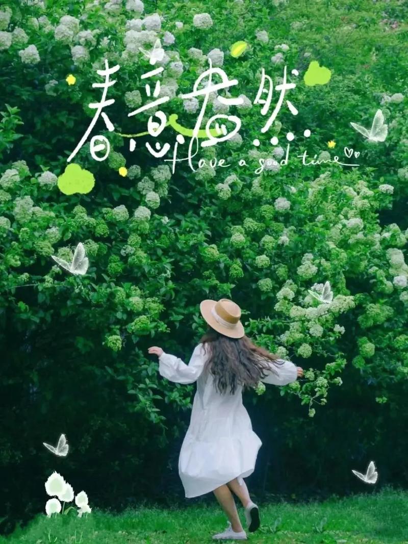 春天拍了拍你：该出门踏青啦！