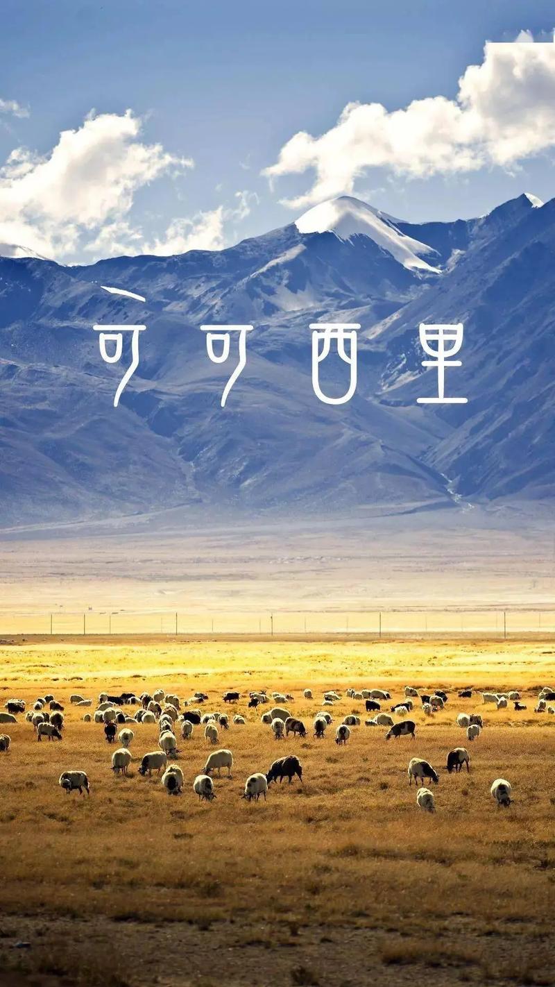 25人车队非法穿越可可西里无人区被抓：被发现时三分之二人员已出现高反 警方已移交可可西里管理处