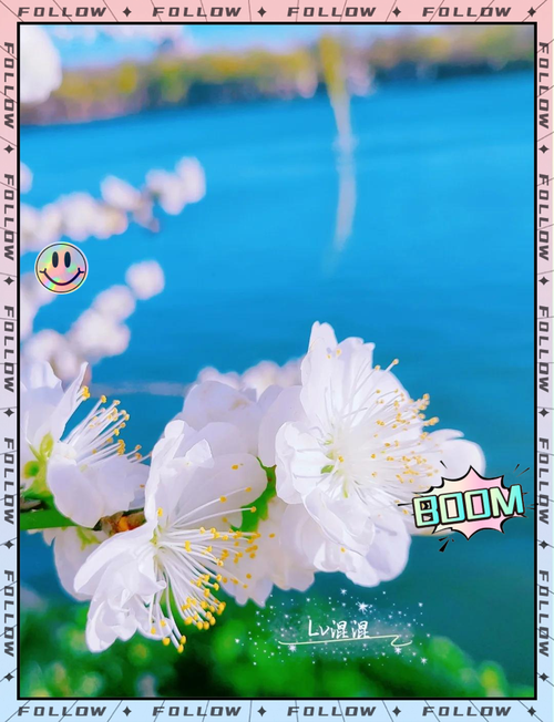 #北京头条#玉渊潭公园 樱花节期间门票：10元