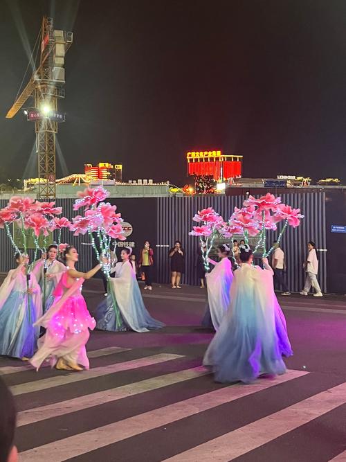 夜赏海棠花开，黄兴公园海棠文化节开幕，首次开设灯光夜场