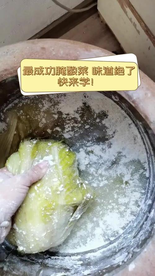 环球旅行1996天：阿珍姐会腌酸菜，我也学一学！
