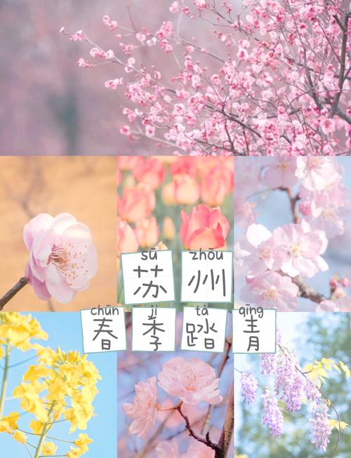 江苏苏州：清明小长假 踏青赏春光