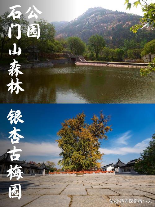 曲阜市石门山：赏花四件套，要不要来个全套？