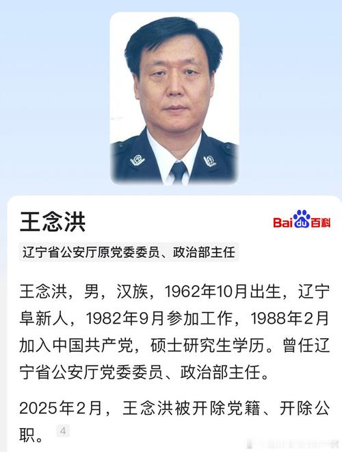 首次披露：王念洪已落马