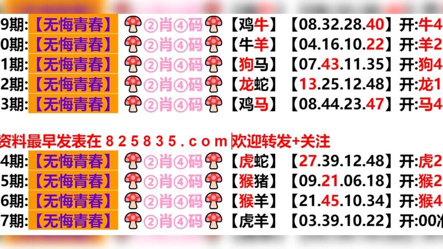 新澳门今晚开奖结果开奖记录17号-全面释义、解释与落实与警惕虚假宣传