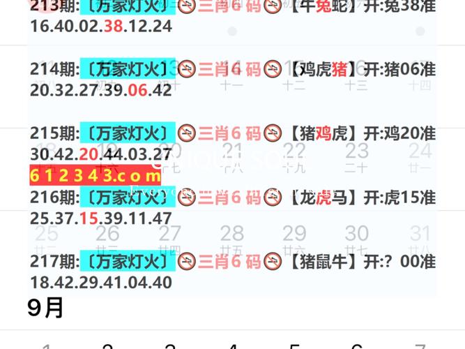 澳门今一必中一肖一码一肖一破-全面释义、解释与落实与警惕虚假宣传