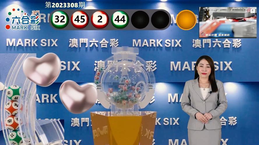 新澳门开奖号码开奖结果查询,全面释义、专家解释与落实与警惕虚假宣传