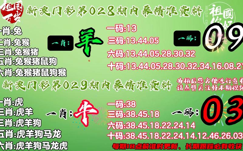 新澳门最精准确精准免费大全,全面释义、专家解释与落实与警惕虚假宣传