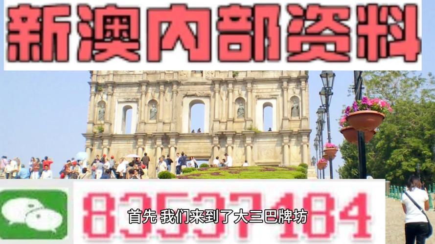 2024新澳今晚资料鸡号几号,精选释义、解释与落实与警惕虚假宣传