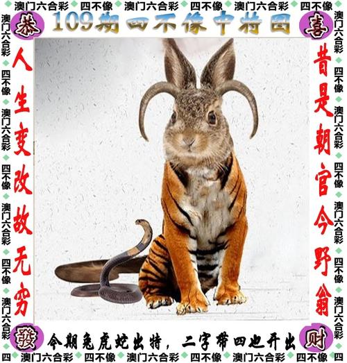 2024澳门资料大全正版资料免费四不像图,精选释义、解释与落实与警惕虚假宣传
