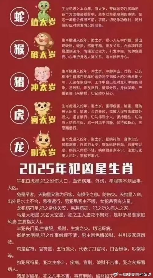 一肖一码一一肖一子善-2025全面解析实用技巧分享