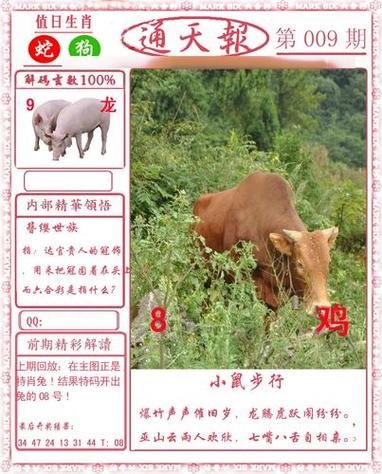 香港二四六开奖免费资料唯美图库308和2025港澳图库彩图大全大图高清全面释义、专家解释与落实与警惕虚假宣传