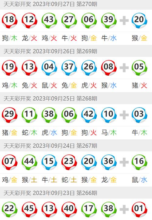 新澳门开奖结果2024开奖记录查询官网下载,2025全面解析实用技巧分享