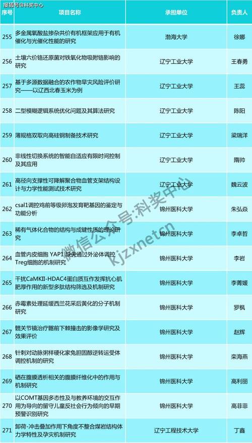2025新澳精准正版免费查询,2025年最新实用信息汇总指南
