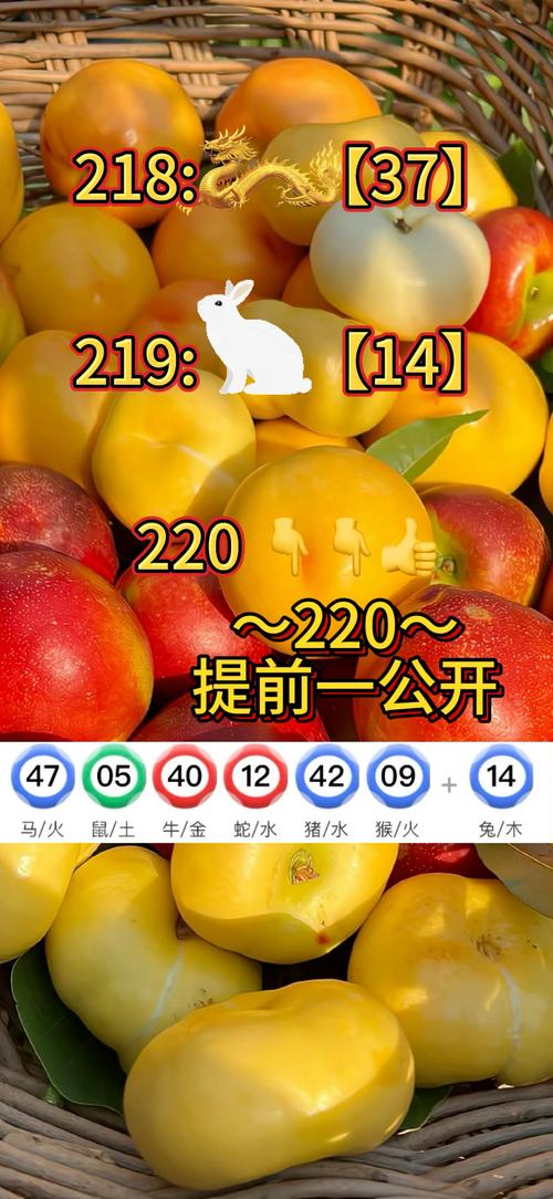 新澳门今晚开奖结果 开奖查询,2025年最新实用信息汇总指南