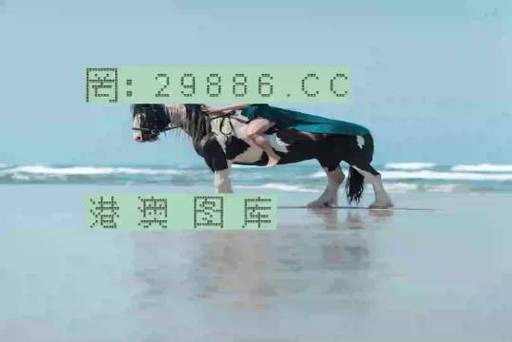 新澳门历史所有记录大全与澳门码今晚开奖号码全面释义、解释与落实与警惕虚假宣传