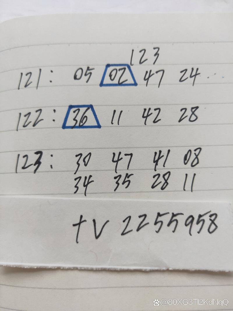 管家婆期期四肖四码中特管家一,2025全面解析实用技巧分享