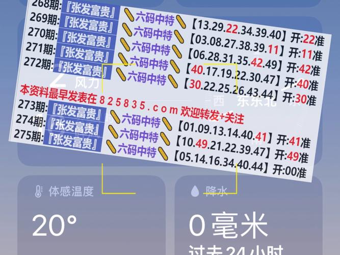 2024新澳门开奖结果公布与2025新奥资料正版大全全面释义、解释与落实与警惕虚假宣传