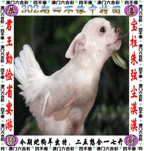 澳门资料大全正版资料2024年免费四不像和2025天天资料大全全面释义、专家解释与落实与警惕虚假宣传