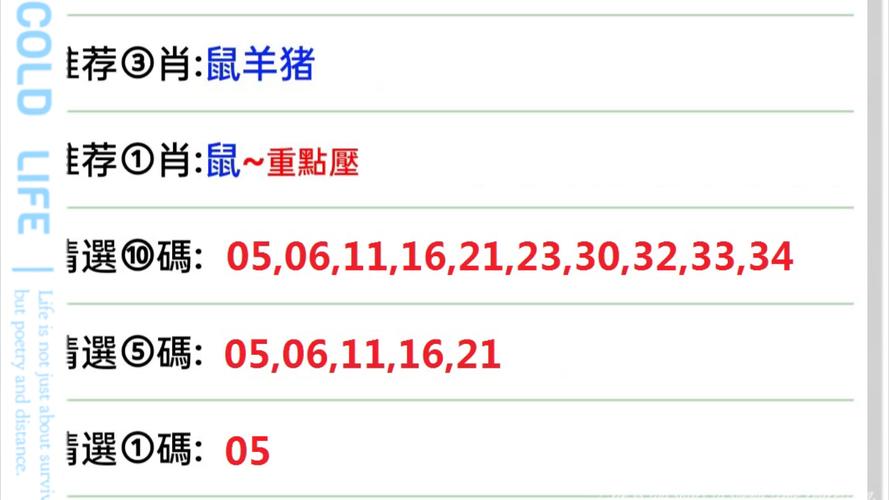 澳门最准一肖一码一码配套成龙一汽车之家,2025全面解析实用技巧分享
