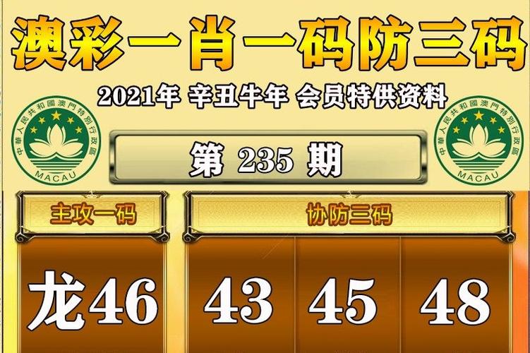 澳门最准一肖一码一码公,2025全面解析实用技巧分享