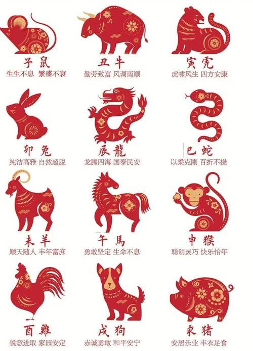 2024澳门彩开奖结果查询最新消息及时间与2024香港正版挂牌1十二生肖表全面释义、解释与落实与警惕虚假宣传