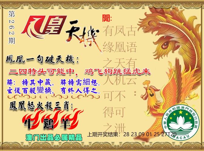 2004新澳门天天开好彩大全作睌开什么,2025全面解析实用技巧分享