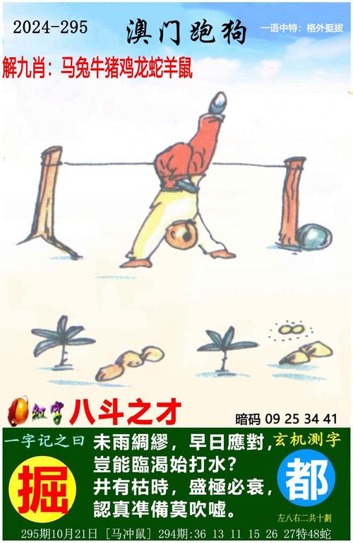 2004新澳门天天开好彩大全2024.73期,2025全面解析实用技巧分享