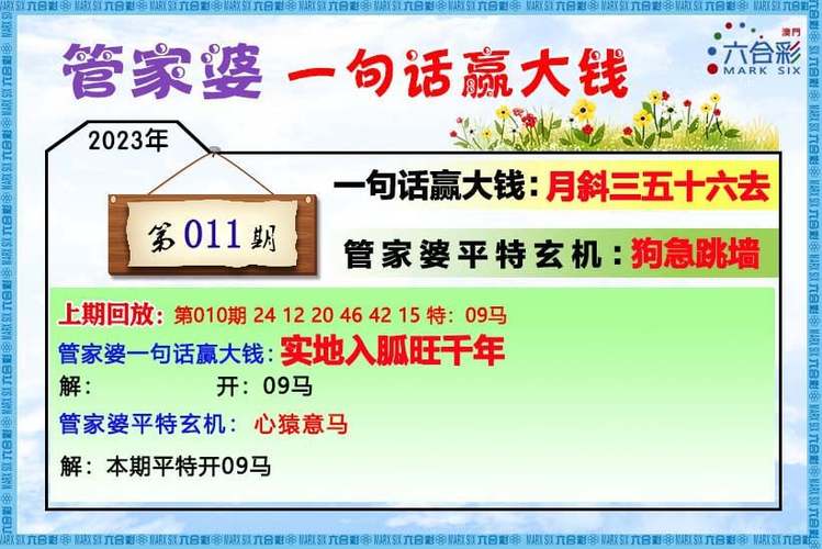2025年5月17日 第5页