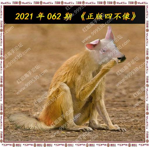2025澳门精准正版免费四不像和今晚澳门9点35分开什么生肖全面释义、专家解释与落实与警惕虚假宣传