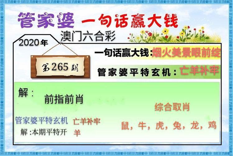 澳门管家婆100%精准香港,全面释义、专家解释与落实与警惕虚假宣传