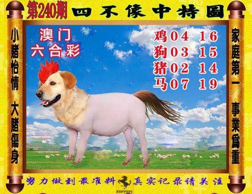 2025年5月27日 第10页