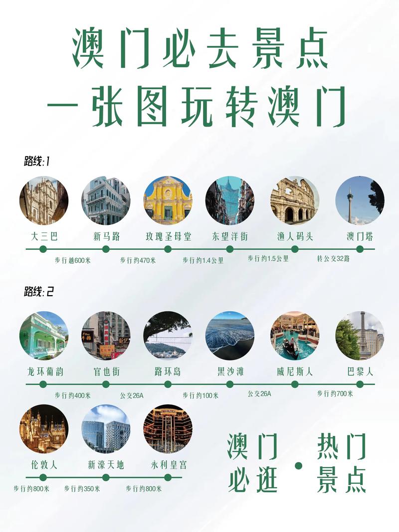 2024年澳门正版资料大全免费120期,2025全面解析实用技巧分享