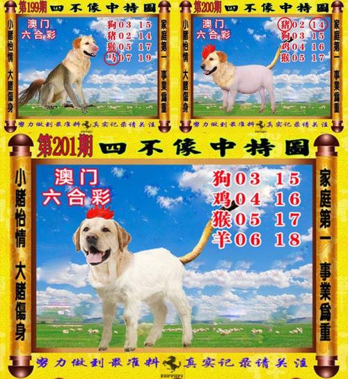 2024澳门资料免费大全四不像头像查询,2025年最新实用信息汇总指南
