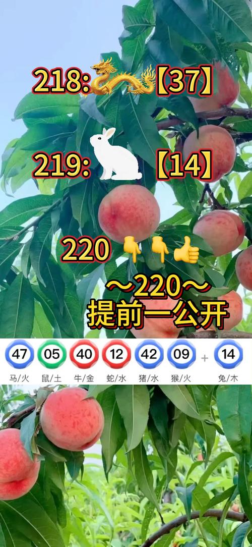 澳门资料大全,正版资料查询最新版特和新澳门最精准确精准全面释义、专家解释与落实与警惕虚假宣传